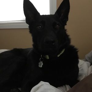 Meet your Posher, Amber